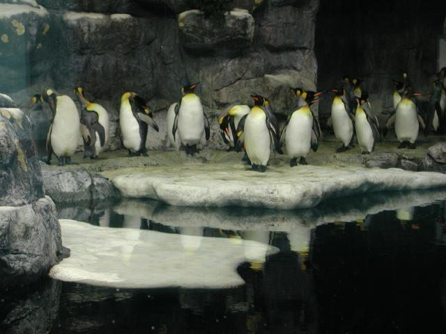 Moody Gardens 2001