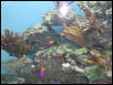 Moody Gardens 2001