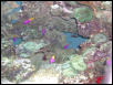 Moody Gardens 2001