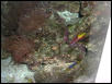 Moody Gardens 2001