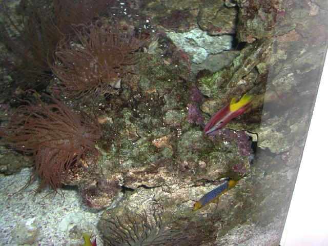 Moody Gardens 2001