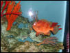 Moody Gardens 2001