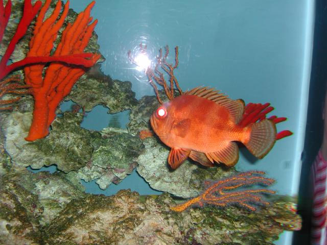 Moody Gardens 2001