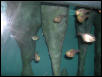Moody Gardens 2001