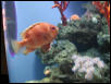 Moody Gardens 2001