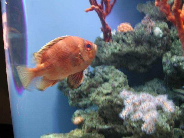 Moody Gardens 2001