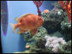 Moody Gardens 2001
