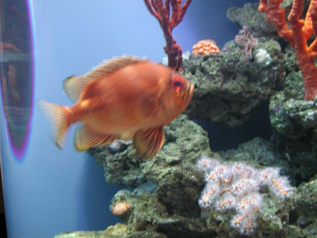 Moody Gardens 2001