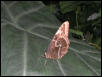 St Louis Zoo 2002