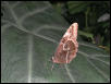 St Louis Zoo 2002