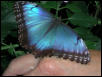 St Louis Zoo 2002