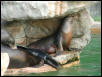 St Louis Zoo 2002