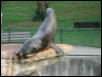St Louis Zoo 2002