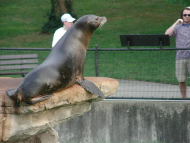 St Louis Zoo 2002