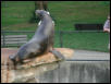 St Louis Zoo 2002