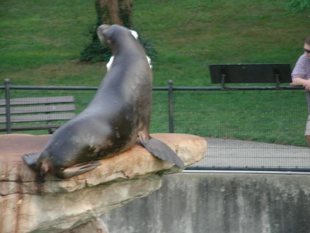 St Louis Zoo 2002