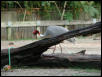 St Louis Zoo 2002