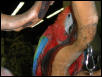 Ft Worth Bird Mart Pics
