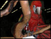Ft Worth Bird Mart Pics