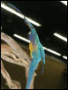 Ft Worth Bird Mart Pics