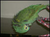 Ft Worth Bird Mart Pics