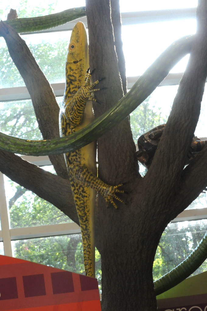 IHS Symposium 2011 - Fort Worth Zoo Visit - 07/29/2011