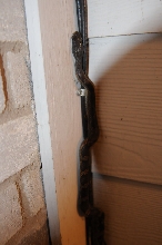 Texas Rats (Elaphe obsoleta lindheimeri) on my front porch