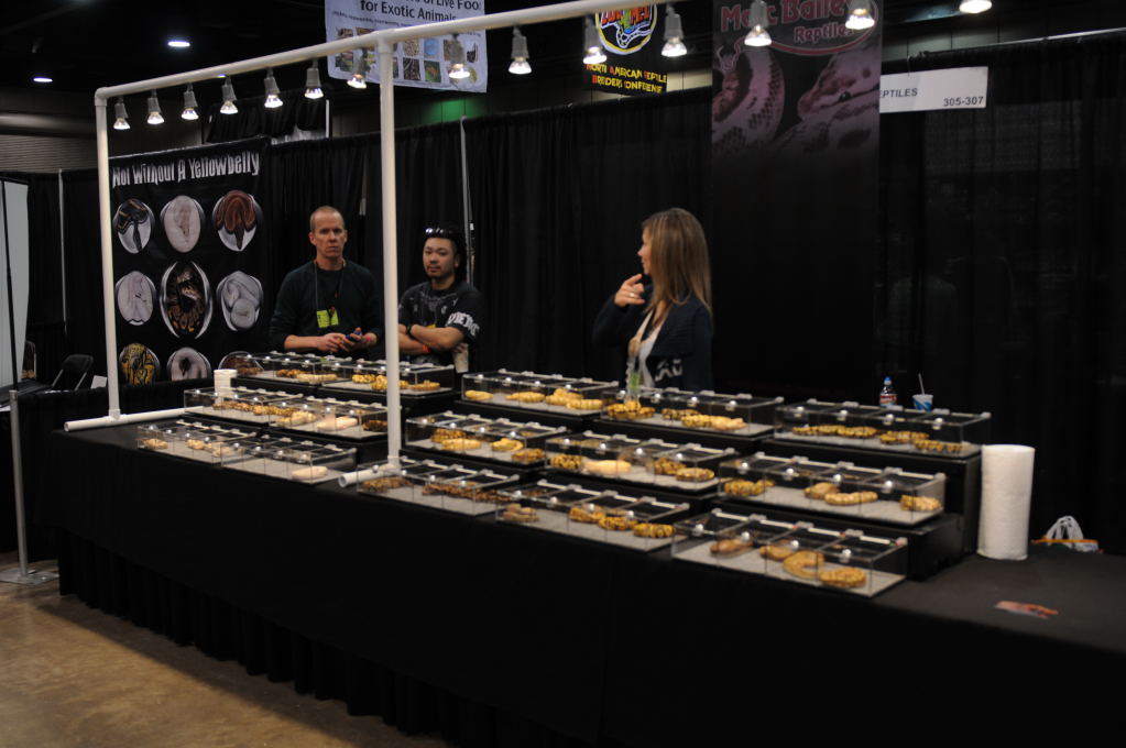 Photos from NARBC Arlington 2012
