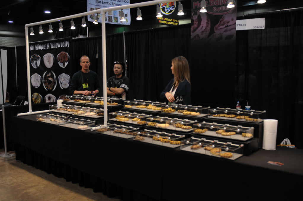 Photos from NARBC Arlington 2012