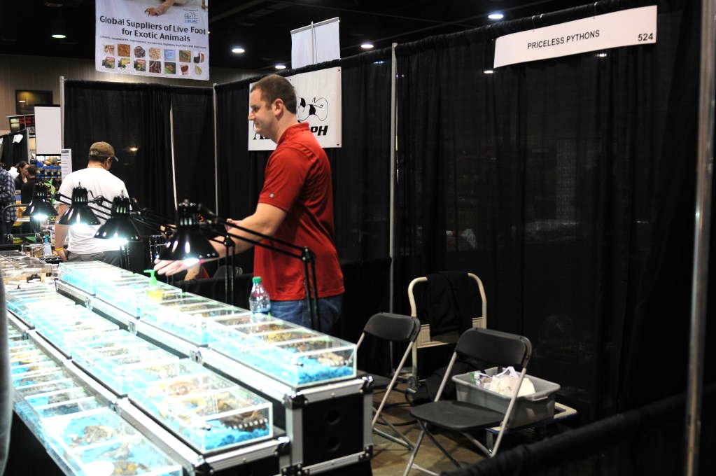 Photos from NARBC Arlington 2012