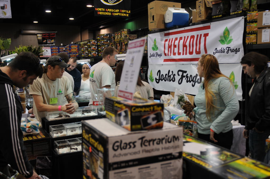Photos from NARBC Arlington 2012