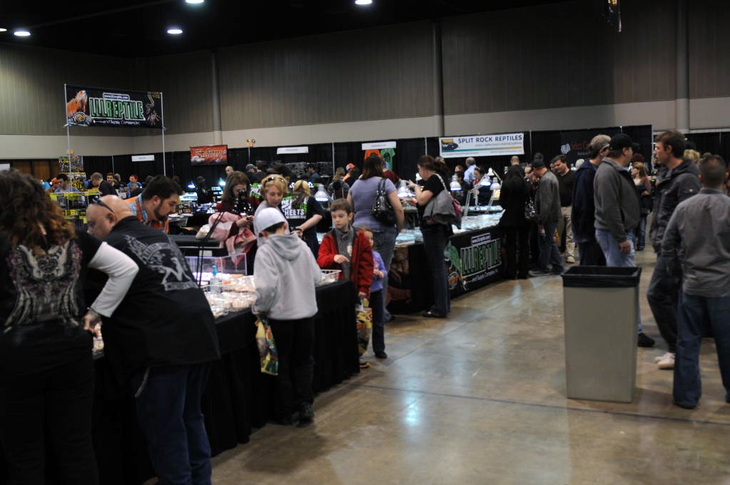 Photos from NARBC Arlington 2012