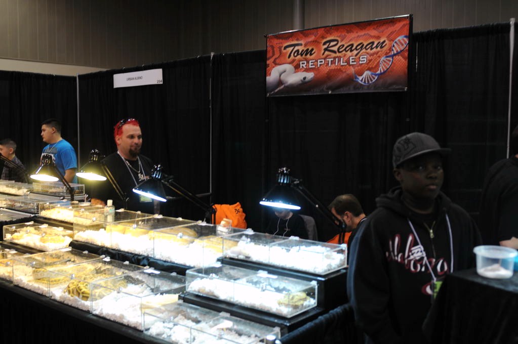Photos from NARBC Arlington 2012