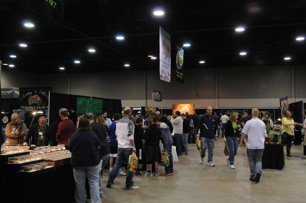 NARBC Arlington 2013  Feb 23-24, 2013