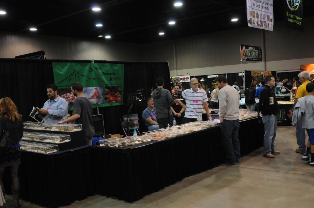 NARBC Arlington 2013  Feb 23-24, 2013