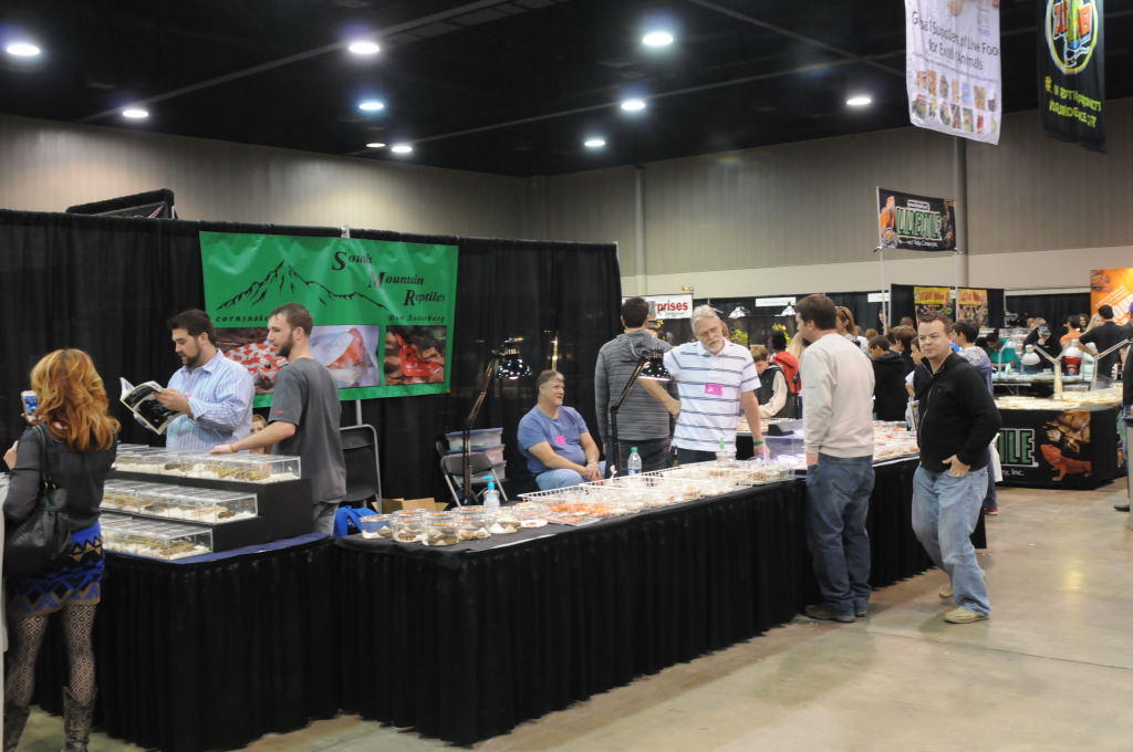 NARBC Arlington 2013  Feb 23-24, 2013
