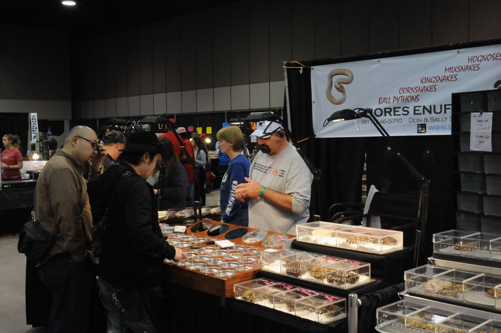 NARBC Arlington 2013  Feb 23-24, 2013