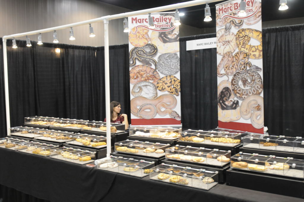 NARBC Arlington 2013  Feb 23-24, 2013