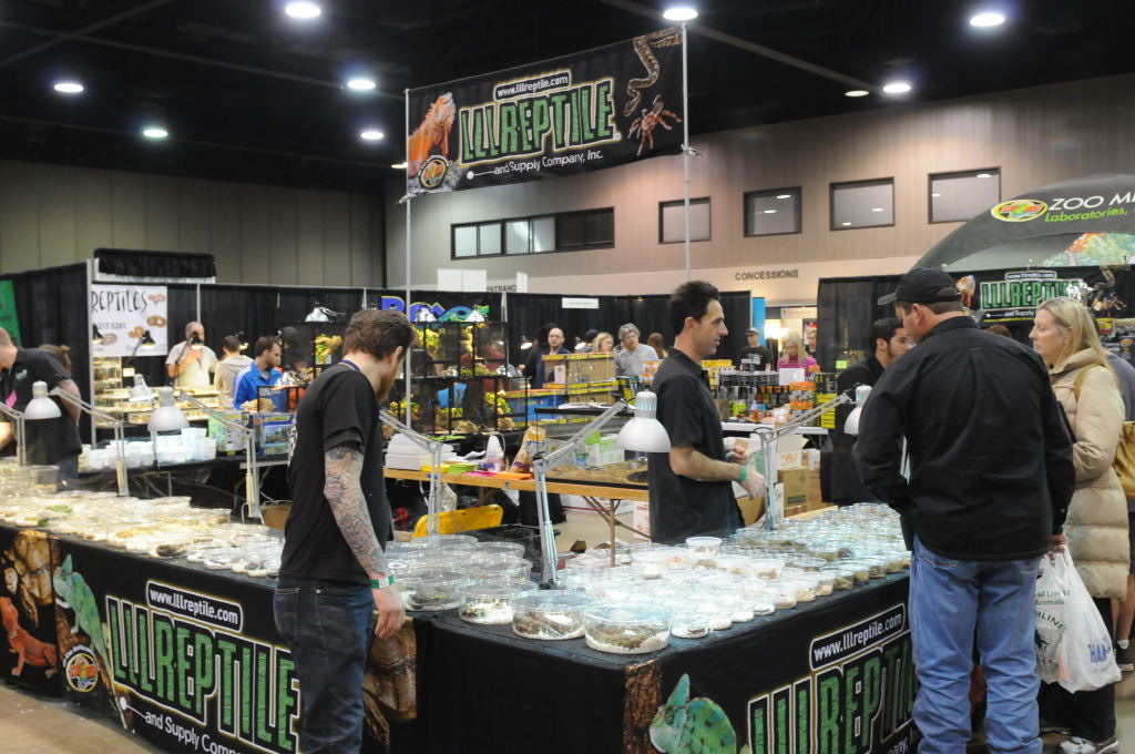 NARBC Arlington 2013  Feb 23-24, 2013