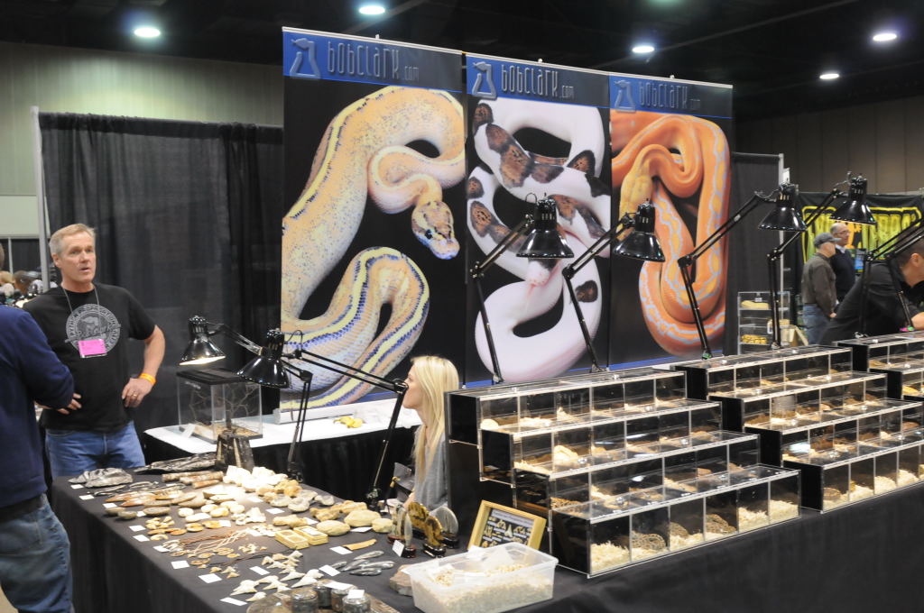 NARBC Arlington 2013  Feb 23-24, 2013