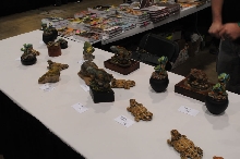 NARBC Arlington 2013  Feb 23-24, 2013