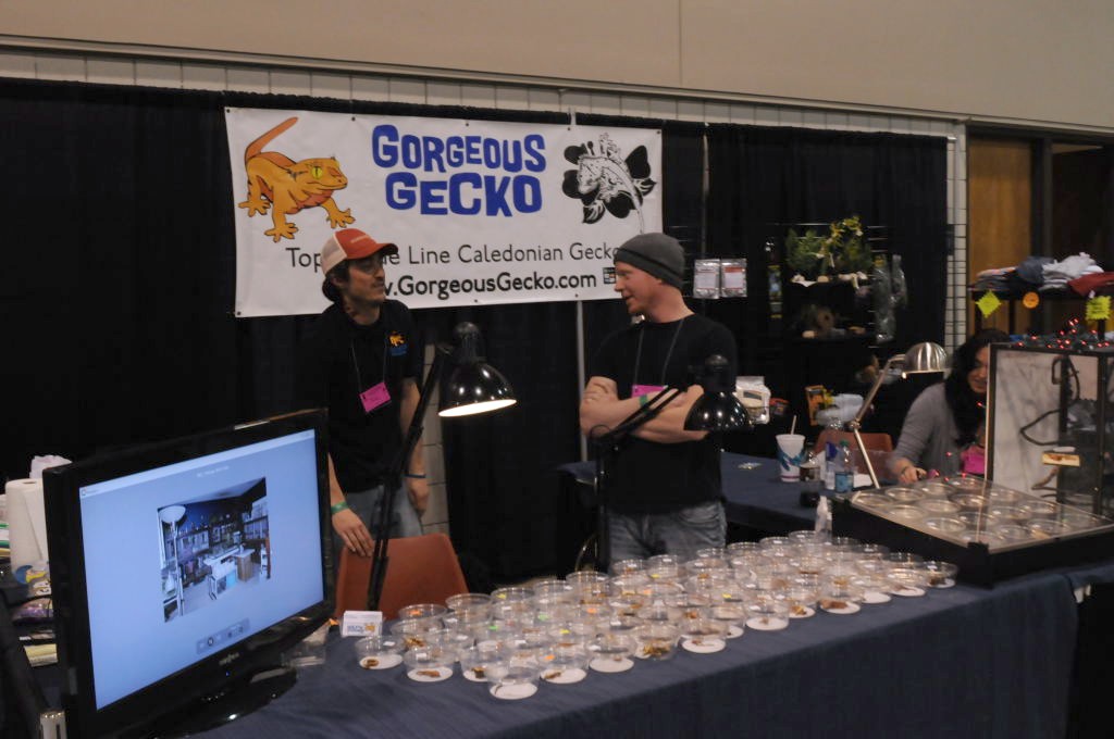 NARBC Arlington 2013  Feb 23-24, 2013