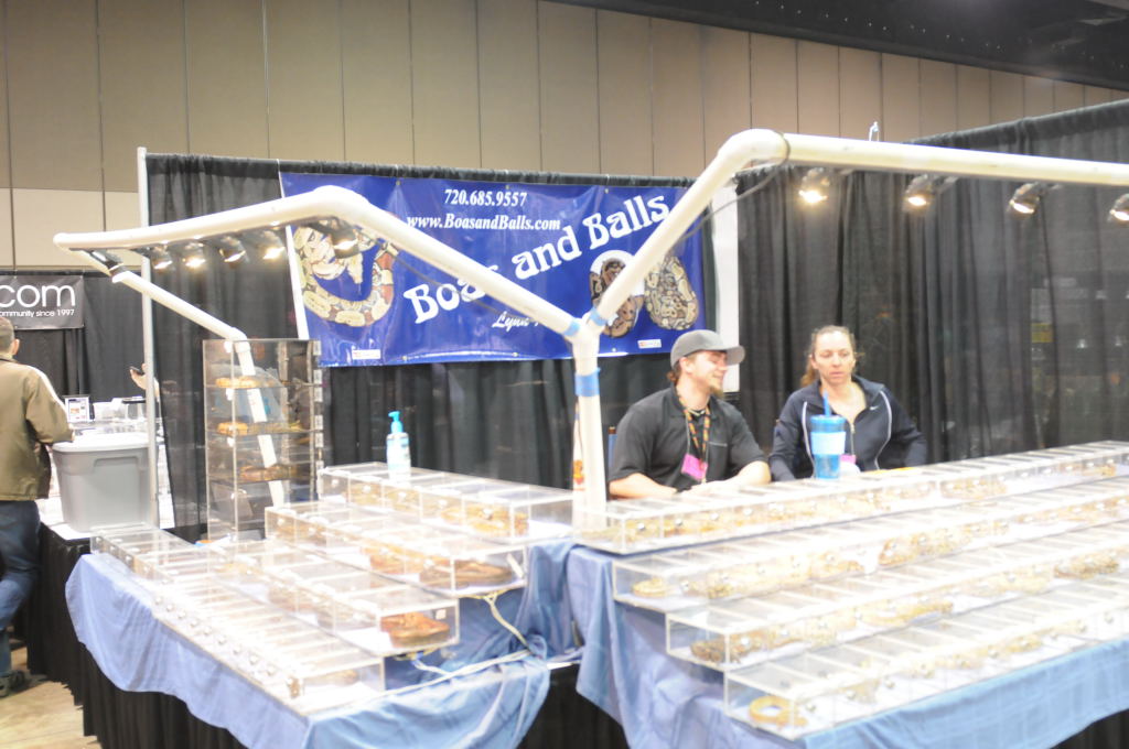 NARBC Arlington 2013  Feb 23-24, 2013