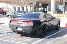 NARBC Arlington 2013  Feb 23-24, 2013