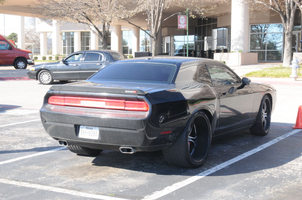 NARBC Arlington 2013  Feb 23-24, 2013