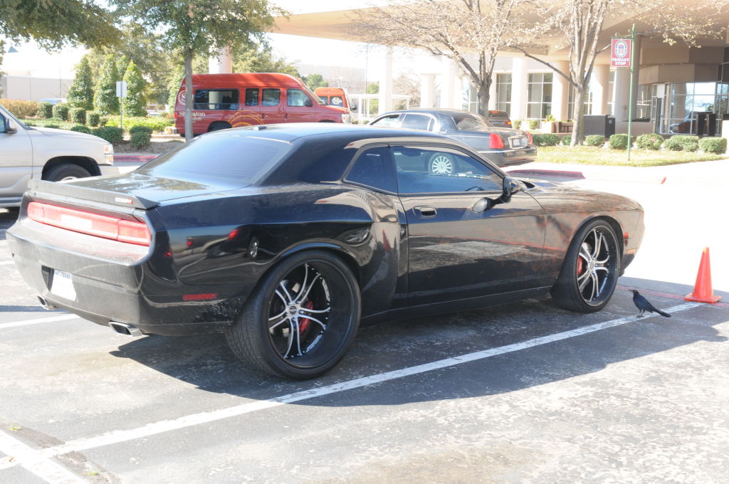 NARBC Arlington 2013  Feb 23-24, 2013