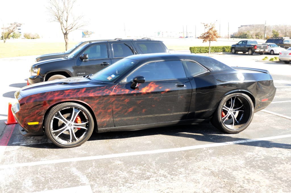 NARBC Arlington 2013  Feb 23-24, 2013