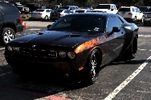 NARBC Arlington 2013  Feb 23-24, 2013