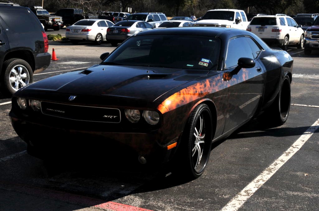NARBC Arlington 2013  Feb 23-24, 2013