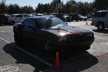 NARBC Arlington 2013  Feb 23-24, 2013
